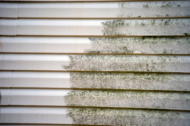 Best Basement Cleanout  in Bismarck, MO