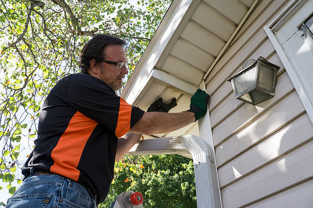 Best Shed Removal  in Bismarck, MO
